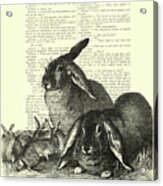 Floppy Eared Bunny Family, Easter Art Acrylic Print