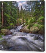 Flow Of The Forest Acrylic Print