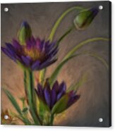 Flower Bundle Acrylic Print