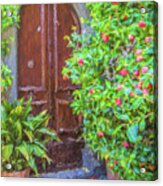 Flower Door Of Tuscany Acrylic Print