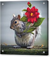 Flowers For You Acrylic Print