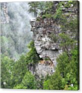 Fog In The Valley Acrylic Print