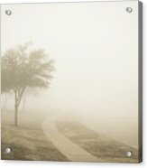 Fog Acrylic Print