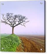 Stunning Foggy Dawn Morning Before Sunrise Vivid Dawn Single Tree Road To Near Horsford Norfolk Uk Acrylic Print