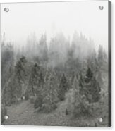 Foggy Forest Panorama Acrylic Print