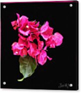 For All Moms Acrylic Print