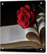 For The Love Of Reading Acrylic Print