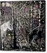 Forest Tryst 2 Acrylic Print