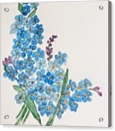 Forget Me Not Acrylic Print