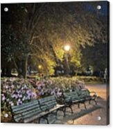 Forsyth Benches Acrylic Print