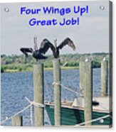Four Wings Up Card Acrylic Print