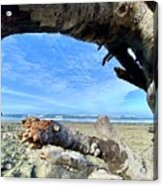 Framed By Driftwood Acrylic Print