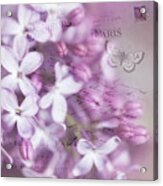 French Lilacs Acrylic Print