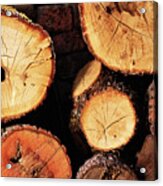 Freshly Cut And Stacked Tree Logs Acrylic Print