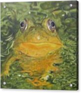 Frog's Delight Acrylic Print