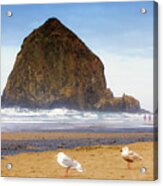 From A Gull's Perspective Haystack Rock Acrylic Print