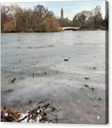 Frozen Lake, Nyc In December Acrylic Print