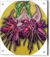 Fuchsia Acrylic Print