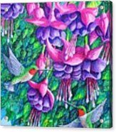 Fuchsia Frolic Acrylic Print