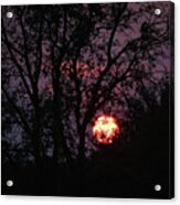 Full Moon And Tree Silhouettes Acrylic Print