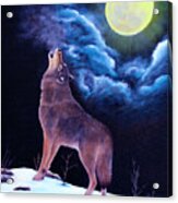 The Wandering Wolf Acrylic Print