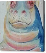 Funky Hippo Acrylic Print