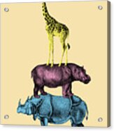 Funny Safari Animals Acrylic Print