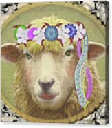 G-lamb-orous Sheep Acrylic Print