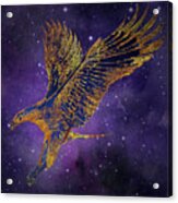 Galaxy Hawk Acrylic Print