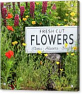 Garden Flowers With Fresh Cut Flower Sign 0771 Acrylic Print