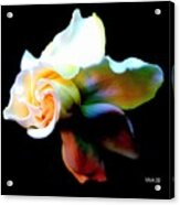 Gardenia-surreal Acrylic Print