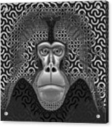 Gelada Monkey Animal Abstract 3b - Black And White Acrylic Print