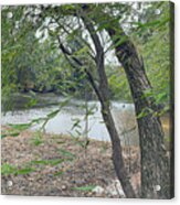 Gentle Breeze Acrylic Print