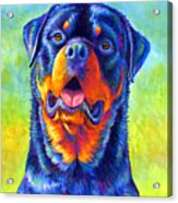 Gentle Guardian Colorful Rottweiler Dog Acrylic Print