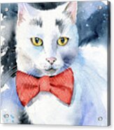 White Cat Painting Acrylic Print