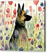 German Shepherd In Flower Field Acrylic Print