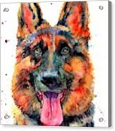 German Shepherd Pet Portrait Acrylic Print