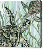 Giant Turtles Swimming In The Seaweed Under The Ocean Watercolor Painting Iv Acrylic Print