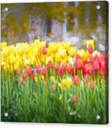 Glorious Tulips Oil Painting Acrylic Print
