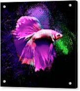 Glowing Magenta Betta Fish Abstract Portrait Acrylic Print