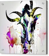 Goat Face Acrylic Print