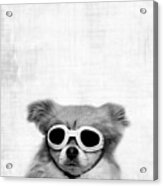 Funny Dog With Goggles Acrylic Print