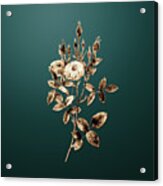 Gold Mossy Pompon Rose On Dark Teal N.02753 Acrylic Print