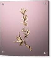 Gold Pink Flower Branch On Rose Quartz N.02768 Acrylic Print