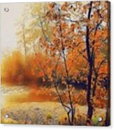 Golden Autumn Trees Acrylic Print