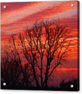 Golden Pink Sunset With Trees Acrylic Print
