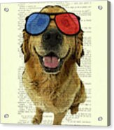 Golden Retriever And 3d Glasses, Funny Movie Dog Acrylic Print