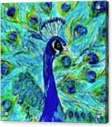 Bird Of Gold And Blue Plumage Acrylic Print