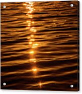 Golden Sunset Acrylic Print