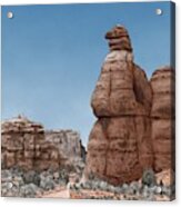 Gooney Bird Rock Acrylic Print